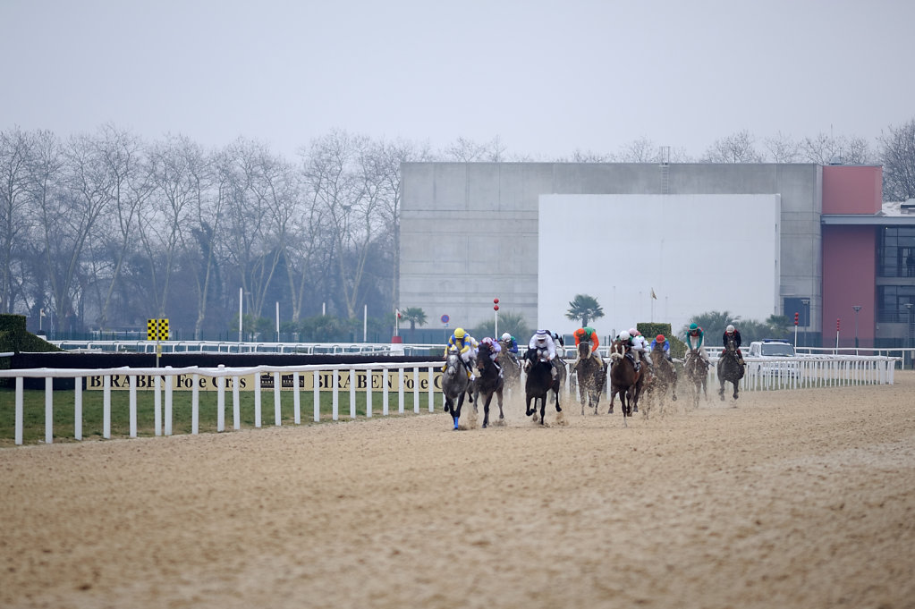Horse Racing - Racecourse Angers / Ecouflant - Finish, France
